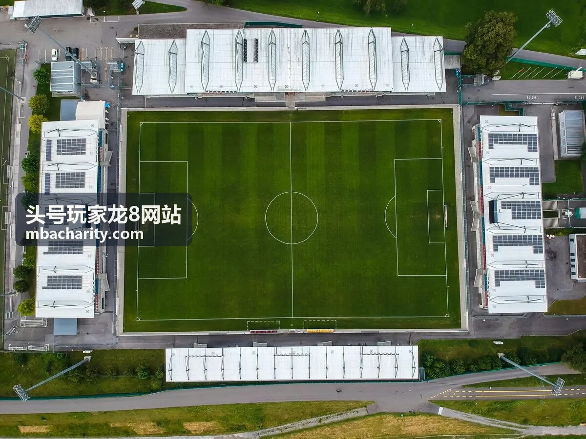头号玩家龙8网站认证玩家星野