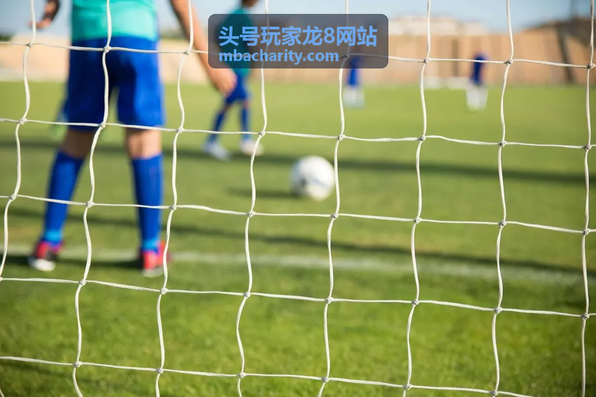 头号玩家龙8网站认证玩家夜航